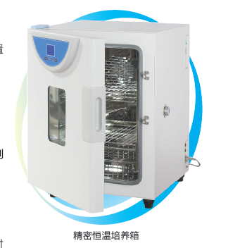 上海一恒精密恒溫培養箱BPH-9402